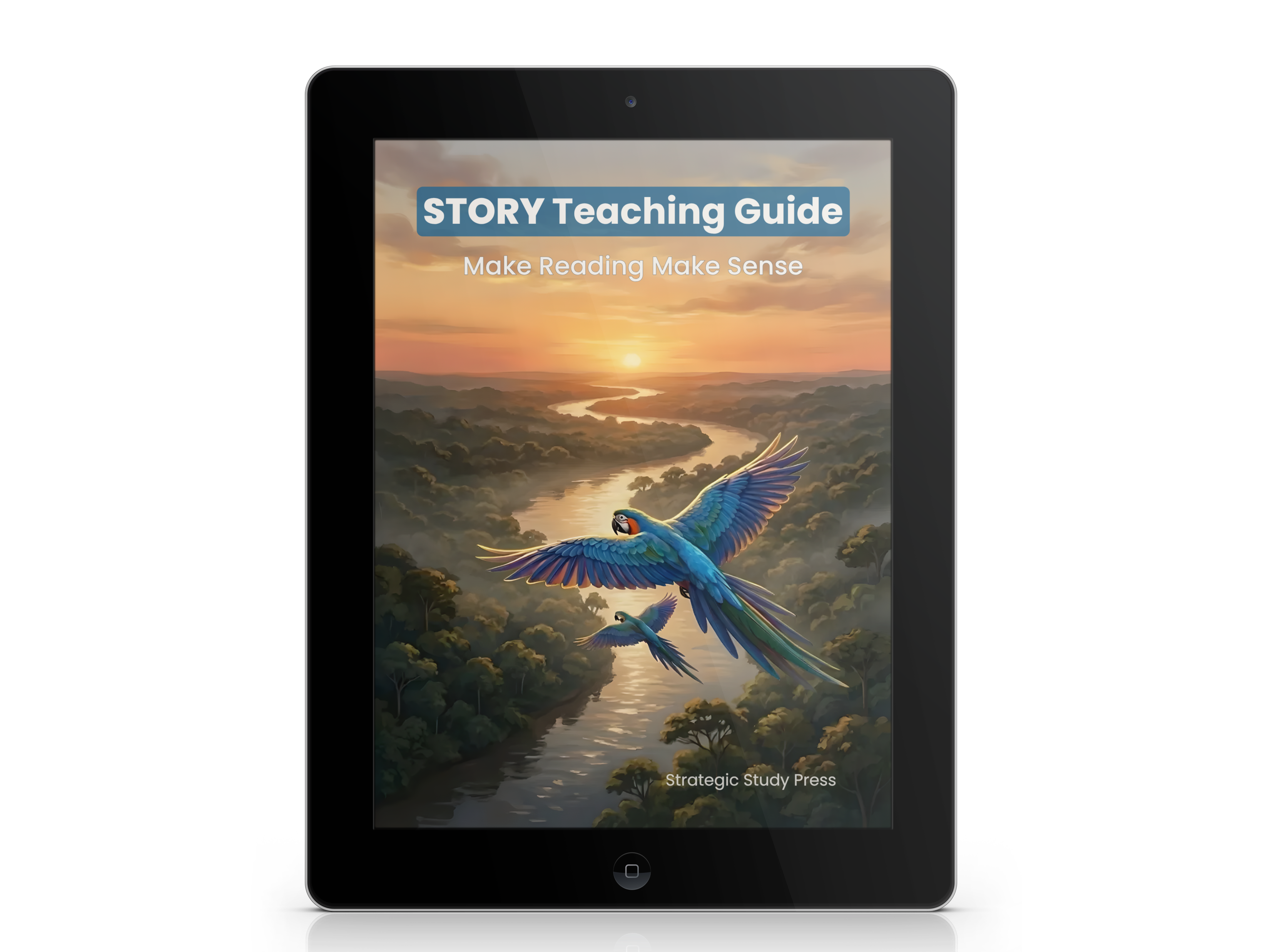 The STORY Teaching Guide (digital book)